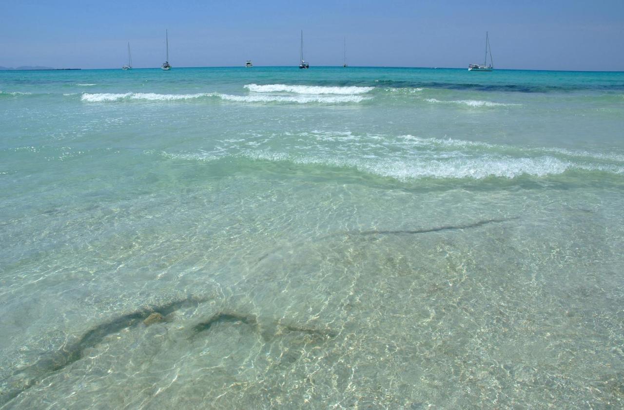 Tiana Ses Salines (Mallorca)